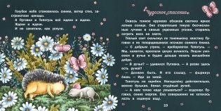 Пуговка и Топотуль. Шкатулочка для добра фото книги 3