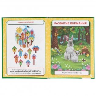 Большая книга на развитие интеллекта малыша фото книги 3