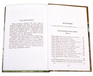 Приключения Тома Сойера фото книги 6