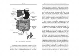 Очистите свой организм от болезней фото книги 7