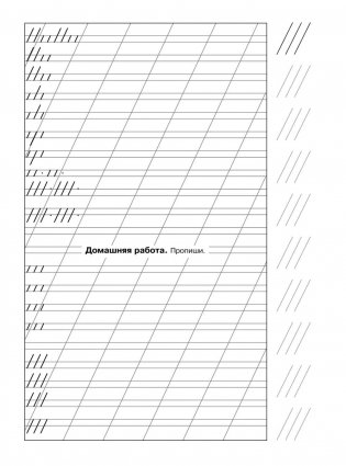 Мои первые прописи для начальной школы. 1 класс фото книги 13