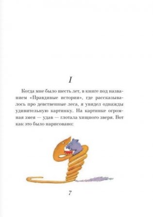 Маленький принц фото книги 4