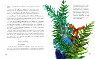 Книга про кролика Питера и госпожу крольчиху фото книги 6