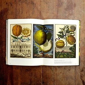 Citrus: A World History фото книги 4