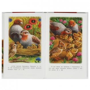 Оранжевое Горлышко. Рассказы о природе фото книги 3