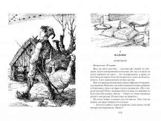 Удивительное путешествие Нильса с дикими гусями фото книги 5