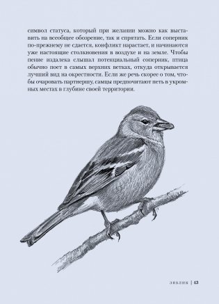 Птицы. Крылатые чудеса природы фото книги 6