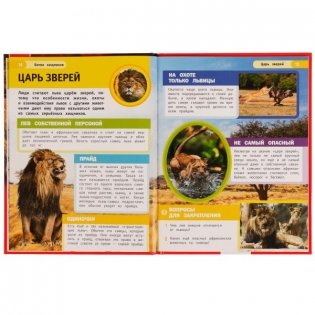Битва хищников. М. А. Рыклин. Энциклопедия с развивающими заданиями фото книги 2