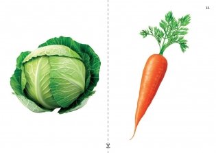 Путешествие в мир правильной речи. Учебное наглядное пособие. ГРИФ фото книги 8