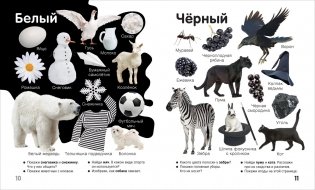 Цвета и формы. Твоя первая фотокнига фото книги 5