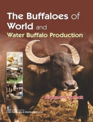 The Buffaloes Of World And Water Buffalo Production (Pb 2019) фото книги