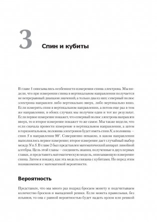 Квантовые вычисления для настоящих айтишников фото книги 8