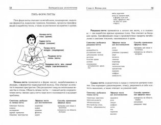 Ароматерапия с позиций аюрведы.10-е изд фото книги 2