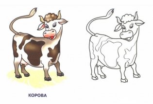 Раскраска. Домашние животные фото книги 2