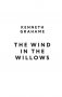 The Wind in the Willows фото книги маленькое 4