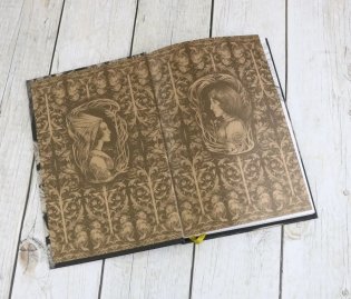 Рыцарь за прялкой фото книги 10