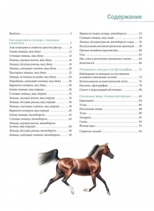 Рисуем лошадей. Руководство фото книги 2