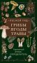 Лесной гид: грибы, ягоды, травы. Карманный атлас-определитель фото книги маленькое 2