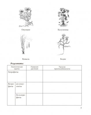 Биология. 10 класс. Тетрадь для лабораторных и практических работ (базовый уровень). ГРИФ фото книги 3