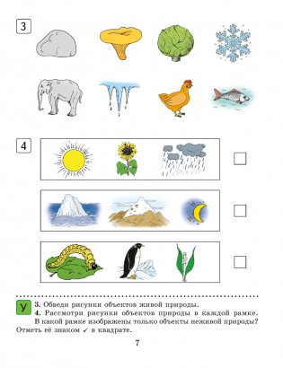 Человек и мир. 1 класс. Практикум фото книги 4