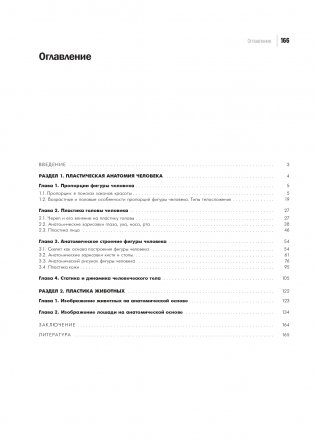 Практикум по пластической анатомии фото книги 12
