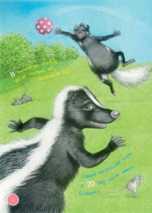 Я скунс фото книги 2