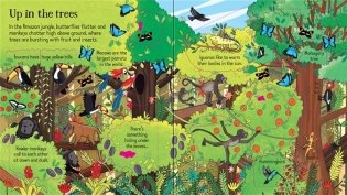 Look Inside. The Jungle. Board book фото книги 3