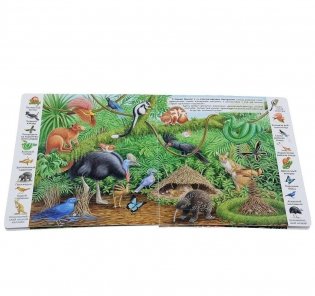 Животные и растения тропических лесов фото книги 2