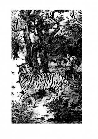 Дерсу Узала фото книги 6