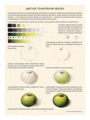 Ботаническая иллюстрация. Обучающий скетчбук фото книги 11