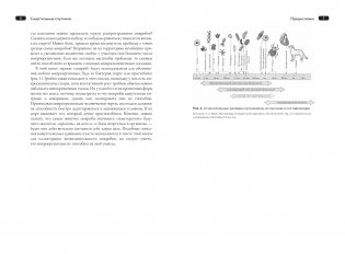 Смертельные спутники. Как микробы меняли нашу жизнь фото книги 2