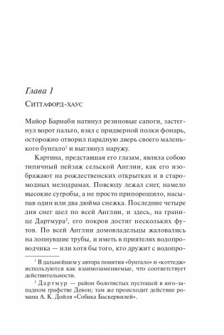 Загадка Ситтафорда фото книги 8