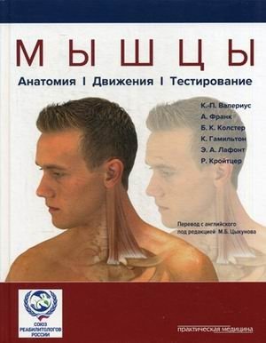 Мышцы. Анатомия. Движения. Тестирование фото книги