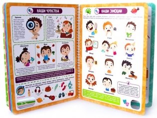 Почему бьётся сердце? Анатомия для детей. Энциклопедия. Книжка на пружине фото книги 2