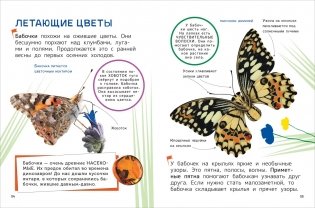 Животные. Энциклопедия для первого чтения с крупными буквами фото книги 4