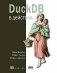 DuckDB в действии фото книги маленькое 2