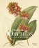 RHS Orchids фото книги маленькое 2