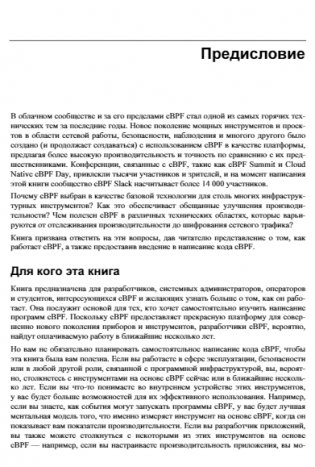 Изучаем eBPF: программирование ядра Linux для улучшения безопасности, сетевых функций и наблюдаемости фото книги 10