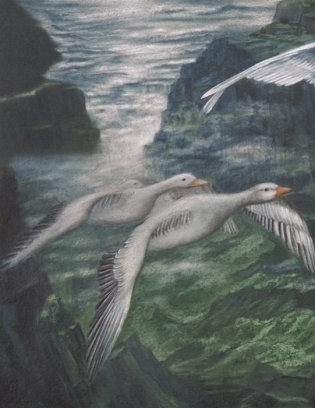 Чудесное путешествие Нильса с дикими гусями. 100 лучших книг фото книги 5