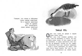 Рассказы для детей фото книги 4