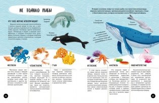 Что? Как? Почему? Мои первые знания про МОРЯ И ОКЕАНЫ (с постером) фото книги 8