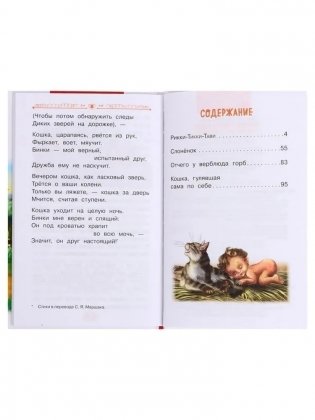 Рикки-Тикки-Тави и другие сказки о животных. Внеклассное чтение фото книги 3