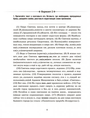Русский язык. Проверочные работы для тематического и итогового контроля. 11 класс фото книги 5
