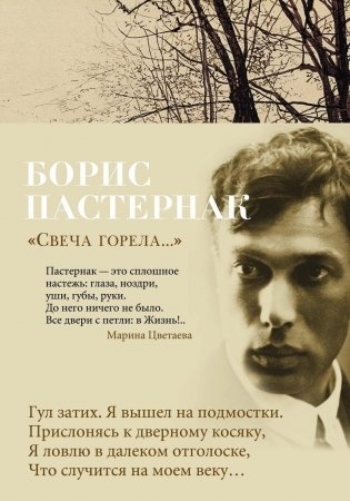 Свеча горела... фото книги