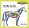Body Basics - a Guide to the Anatomy of the Horse фото книги маленькое 2