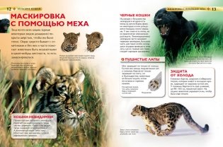 Большие кошки. Детская энциклопедия фото книги 2
