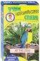 Развивающие карточки "Учим английские слова. В зоопарке" фото книги маленькое 2