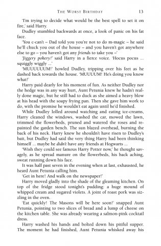 Harry Potter 2 and the Chamber of Secrets фото книги 3