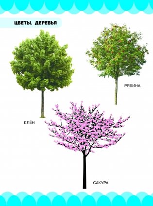 Копилка самых первых знаний малыша фото книги 2