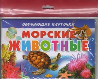 Морские животные фото книги